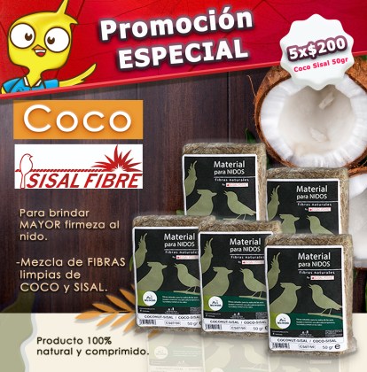 No hay imagen establecida 